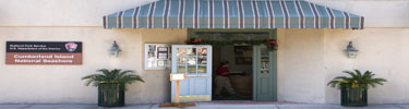 Museum Entrance on Osborne Street